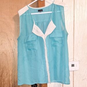Ambiance Teal and White Sheer Blouse